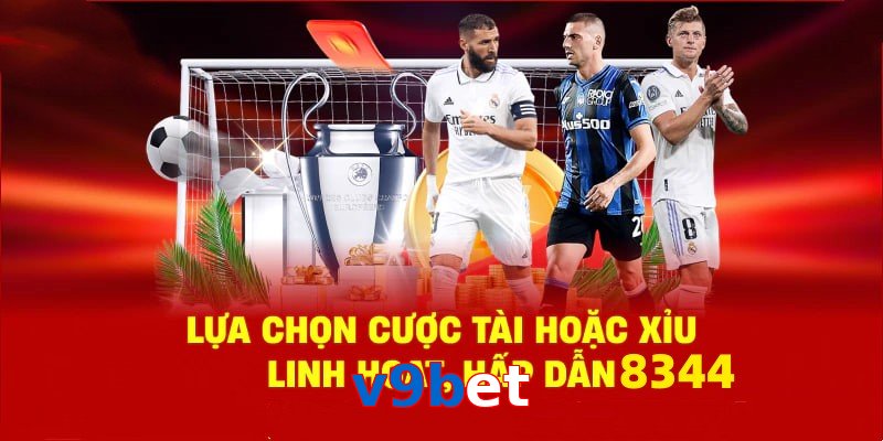 Danh mục đa dạng, đoán chuẩn là nhận tiền